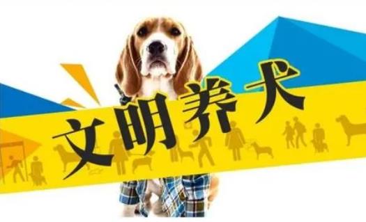 2023年3月1日起施行！《黃石市養(yǎng)犬管理條例》來了